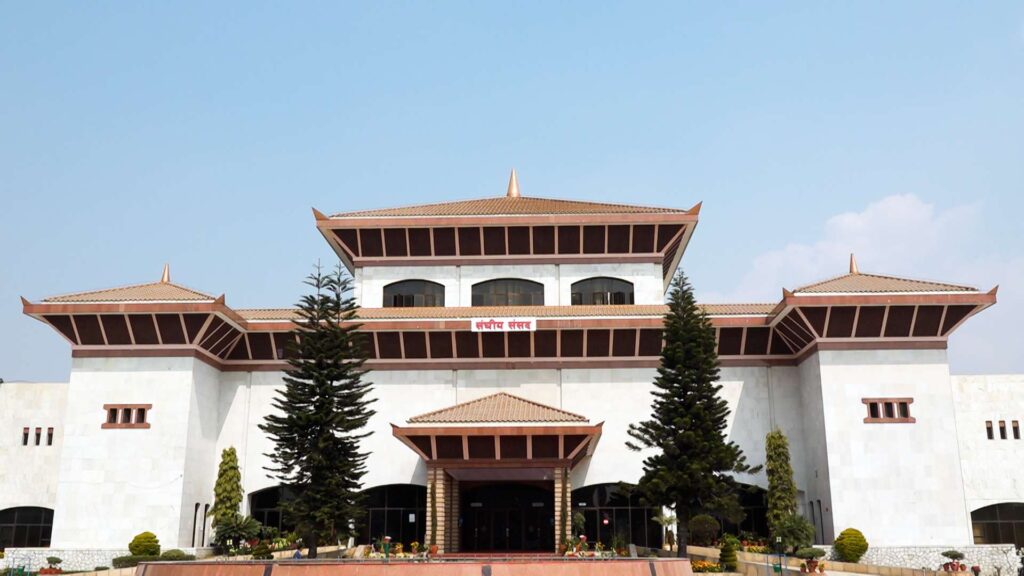 संसद् भवनमा ड्रोन खसालेको आरोपमा ५ जना नियन्त्रणमा